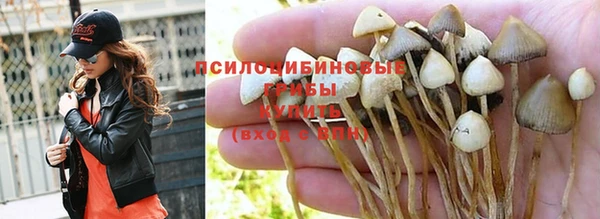 каннабис Богородицк