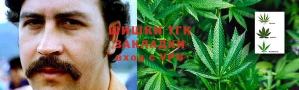 амф Богородск