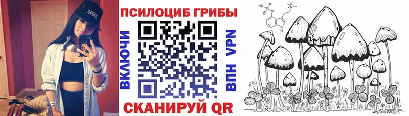 даркнет телеграм  Череповец  Галлюциногенные грибы Psilocybine cubensis 